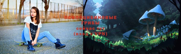 МДПВ Богданович