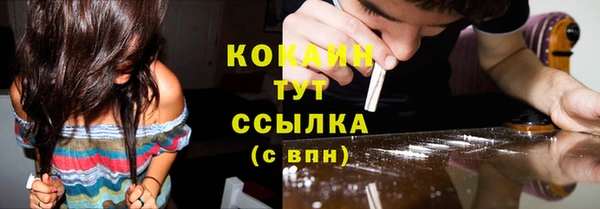прущие грибы Ростов